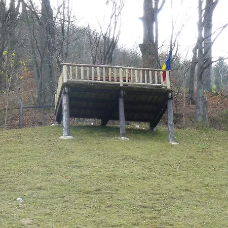 Vakantiehuis Pensiunea Vladut Bran (Brasov)