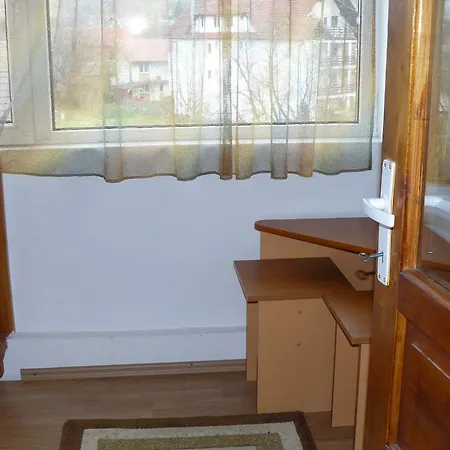 Vakantiehuis Pensiunea Vladut *