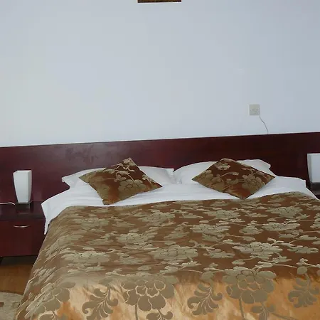 Pensiunea Vladut Bran (Brasov)