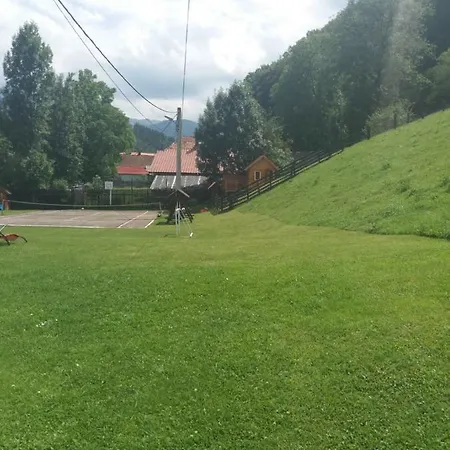 Vakantiehuis Pensiunea Vladut