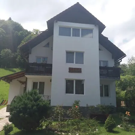 Pensiunea Vladut Bran (Brasov)