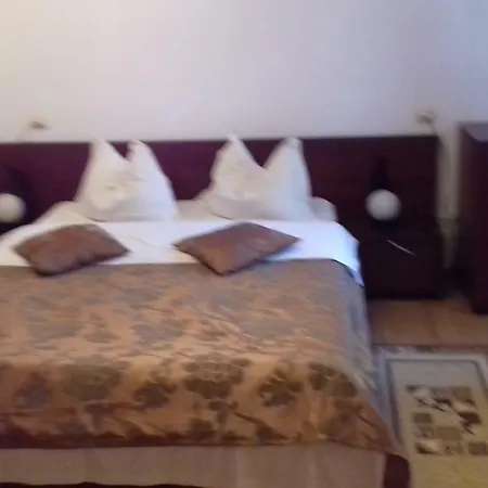 Vakantiehuis Pensiunea Vladut Bran (Brasov)