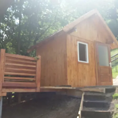 Vakantiehuis Pensiunea Vladut *